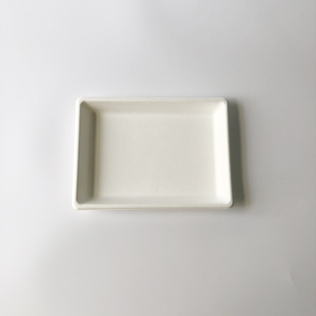 Bagasse Rectangular Serving Plate